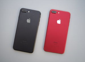 iphone6plus多少钱 iPhone6plus多少钱