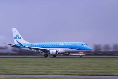 荷兰航空公司中文官网(荷兰航空官网中国官网)